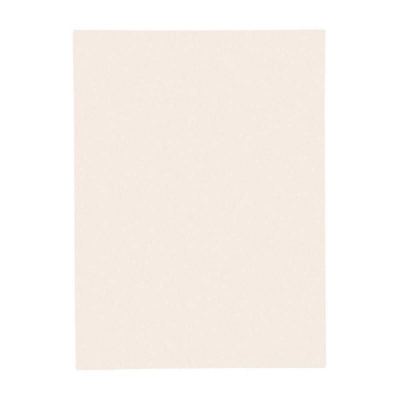 EXACOMPTA CHEMISE-DOSSIER EXACOMPTA 1 RABAT - CARTE 160G - BEIGE PASTEL (LOT DE 100)