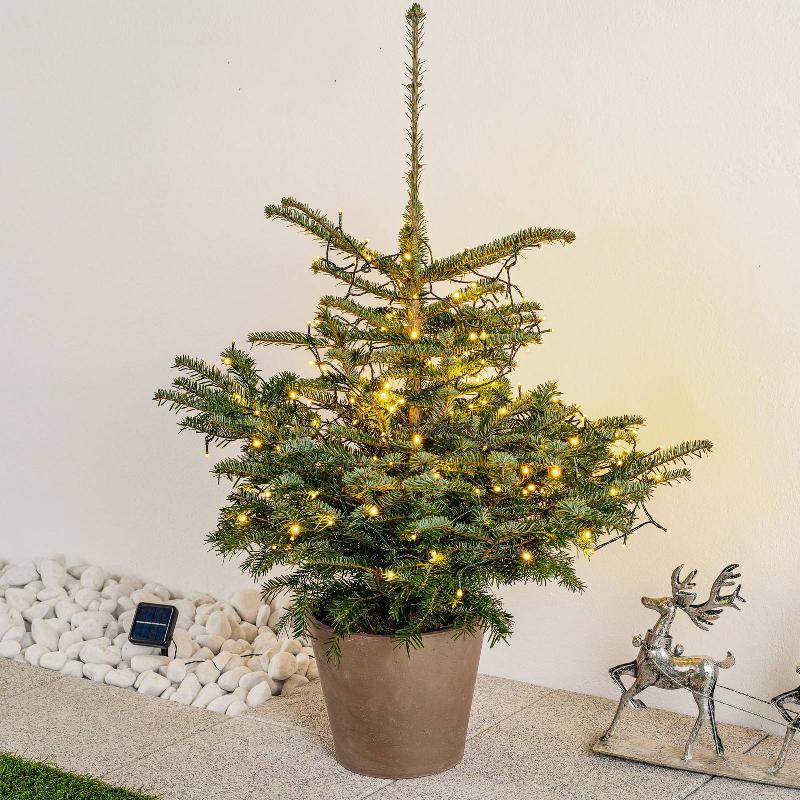 LINDBY GUIRLANDE LUMINEUSE LED KALOYAN, 200 LAMPES, 2,19 M