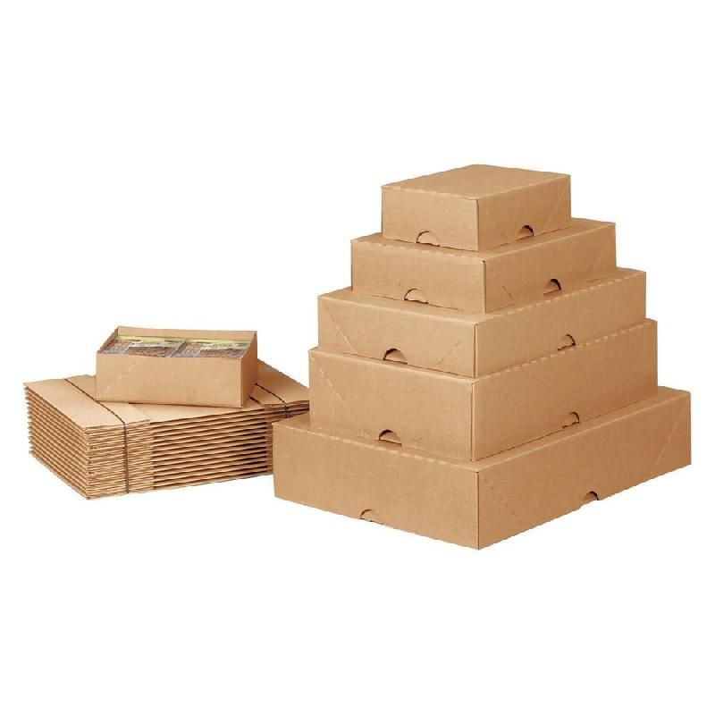 PRESSEL CARTON TÉLESCOPIQUE - 30,5 X 21,5 X 10 CM (LOT DE 20)