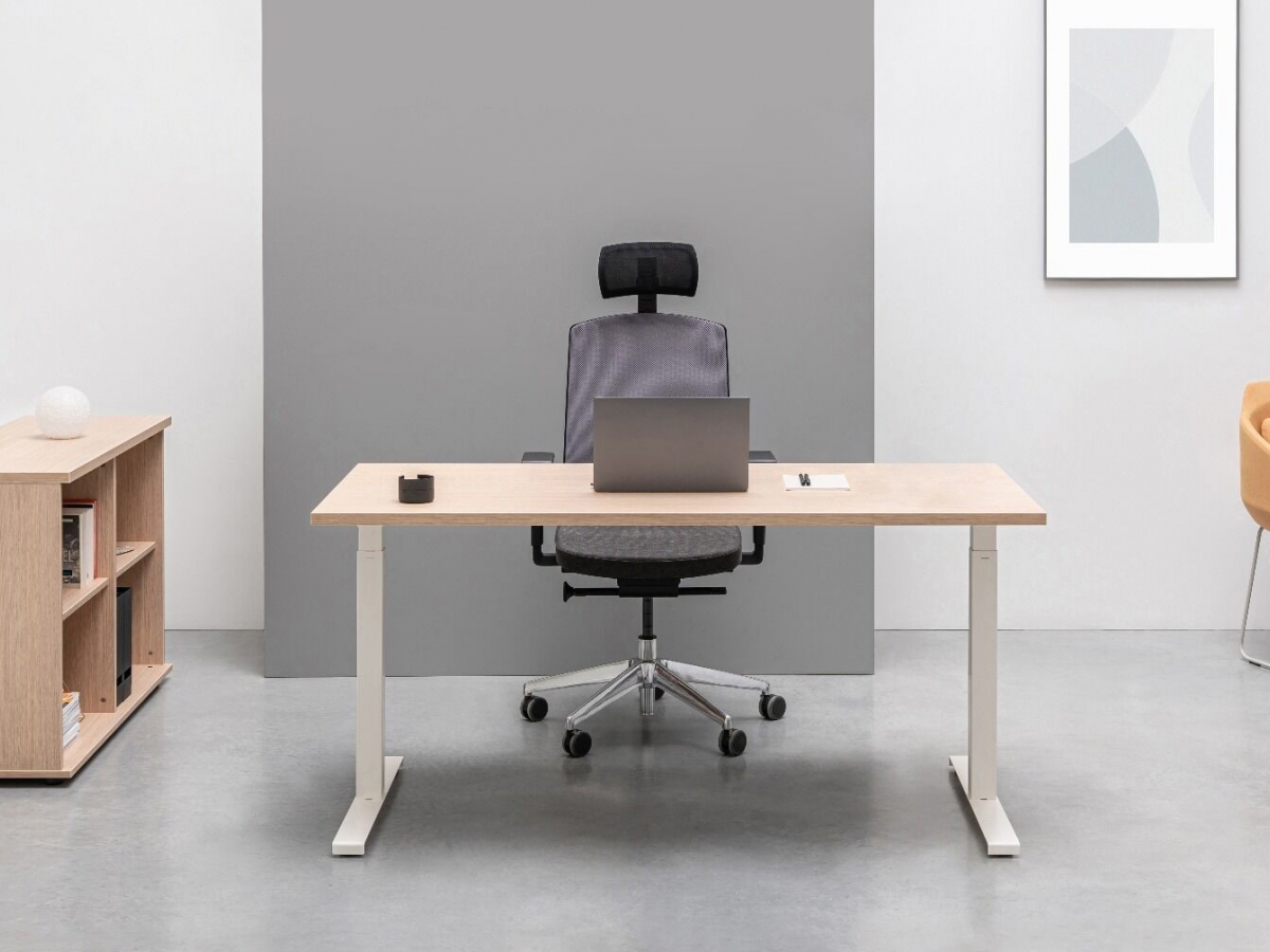 Bureau 100 cm avec rangement