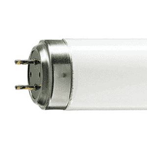 G13 tube fluorescent k 40w actinique /10r bl 350nm 590mm uva_0