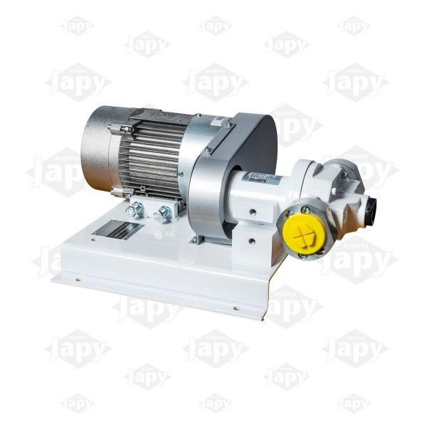 Pompes électriques à palettes moteur ATEX - EEX-BAG800 monophasée et triphasée_0