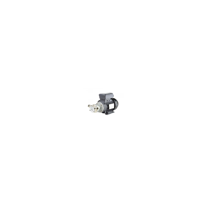 Pompe à rotor flexible 230V - 0.24kW - Usage domestique, agricole et marine_0