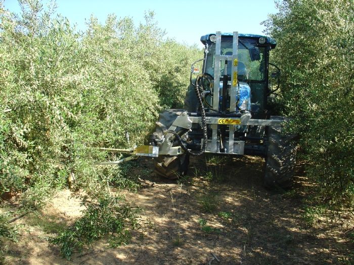 Découpeuse castor - prétailleuse - corbins - pour les bas des oliviers et les fruitiers_1