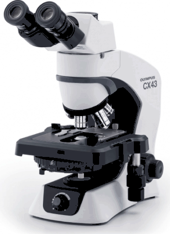 Cx43 - microscope droit_0