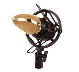 MICROPHONE À  CONDENSATEUR DE STUDIO PROFESSIONNEL MC CRYPT BM-700