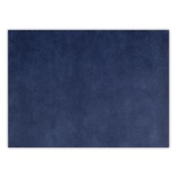 Thouy Sets de table en spunbond bleu marine 30 x 40 cm x100 - 3701114808786_0