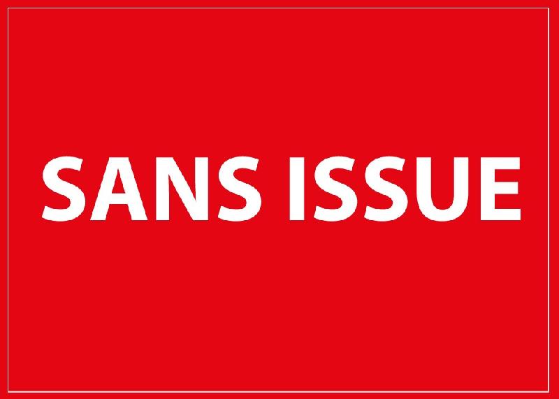 PANNEAU D'INFORMATION - SANS ISSUE  - 300 X 420 MM - PVC