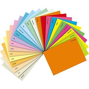 Papier couleur Trophée - 160 g - A4 - coloris assortis intense