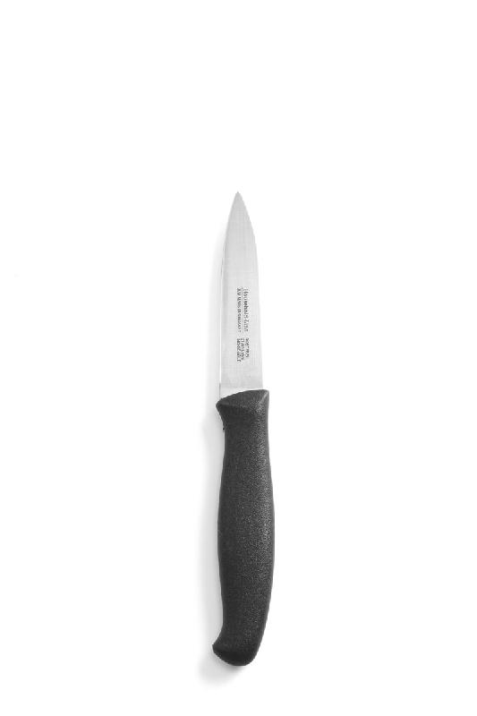 Couteau professionnel éplucheur 190mm pointu - 841112_0