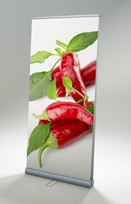 Kakémono roll-up double face - robuste et économique - aluminium avec visuel inclus (85, 100 ou 120 cm)_0