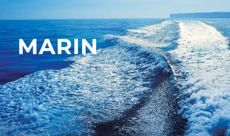 Moteur marin NPS Diesel - économique, compact et durable pour applications marines_0