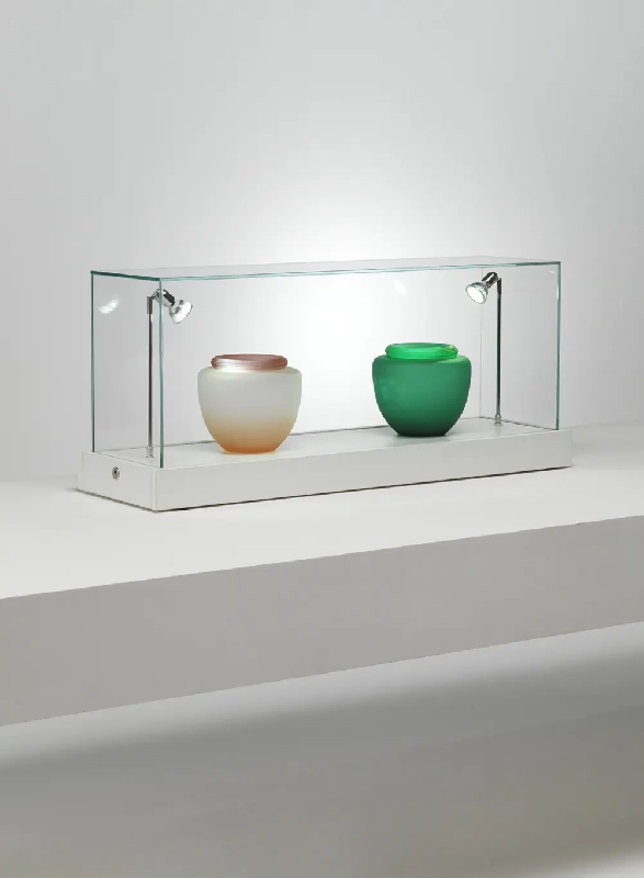 Vitrine muséographique à poser TB/100VA - colonne blanche avec cloche vitrée et 2 spots LED intégrés_0