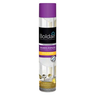 Désodorisant Boldair grands espaces destructeur d'odeurs 750 ml_0