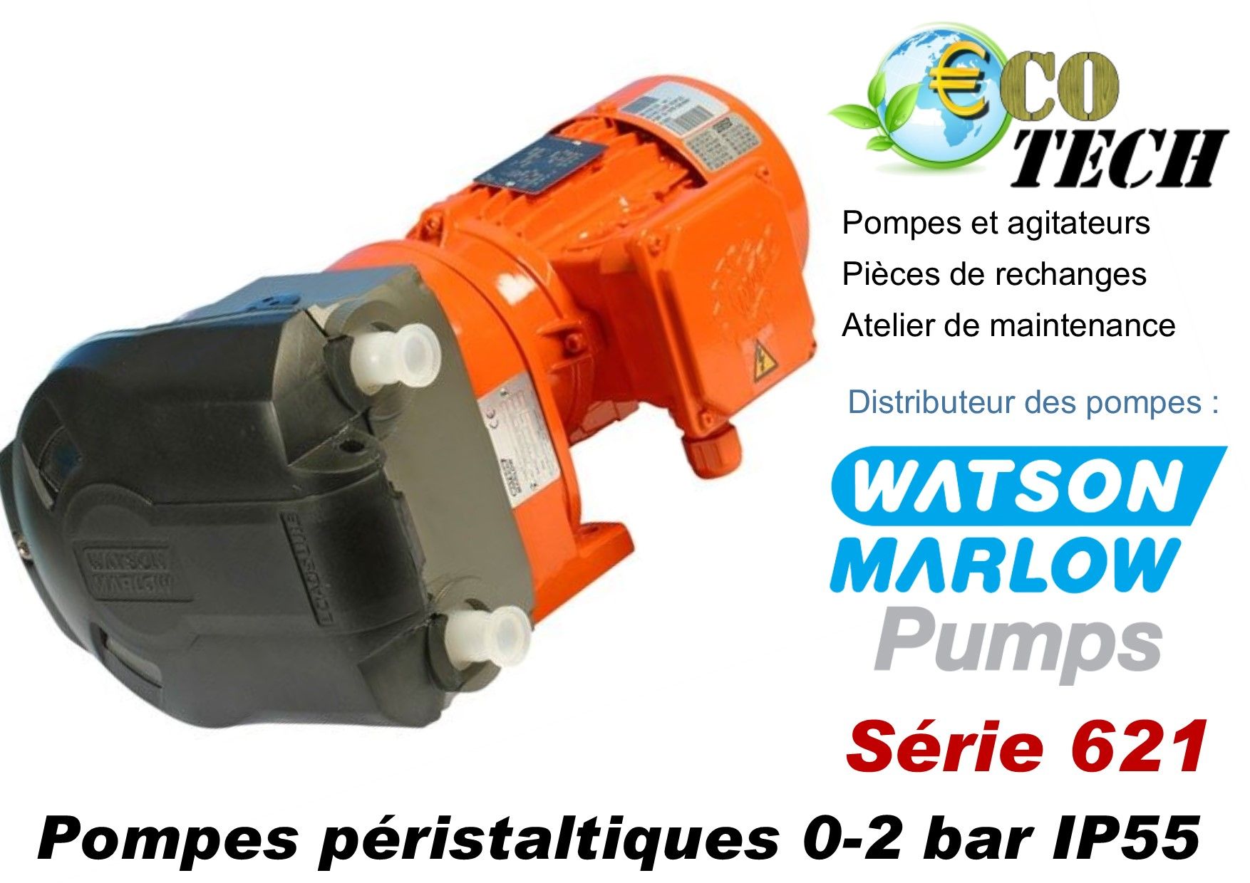 Pompe industrielle watson marlow série 621 distributeur normandie rouen caen_0