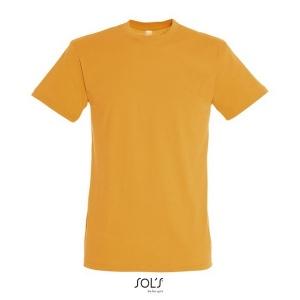 Regent uni t-shirt 150g référence: ix340357_0