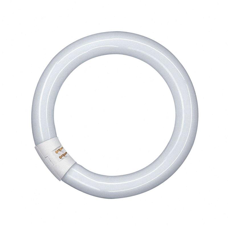 OSRAM G10Q 32W 840 LUMILUX T9C TUBE FLUORESCENT CIRCULAIRE