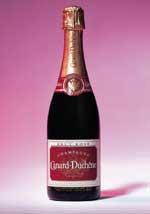 Champagne rosé