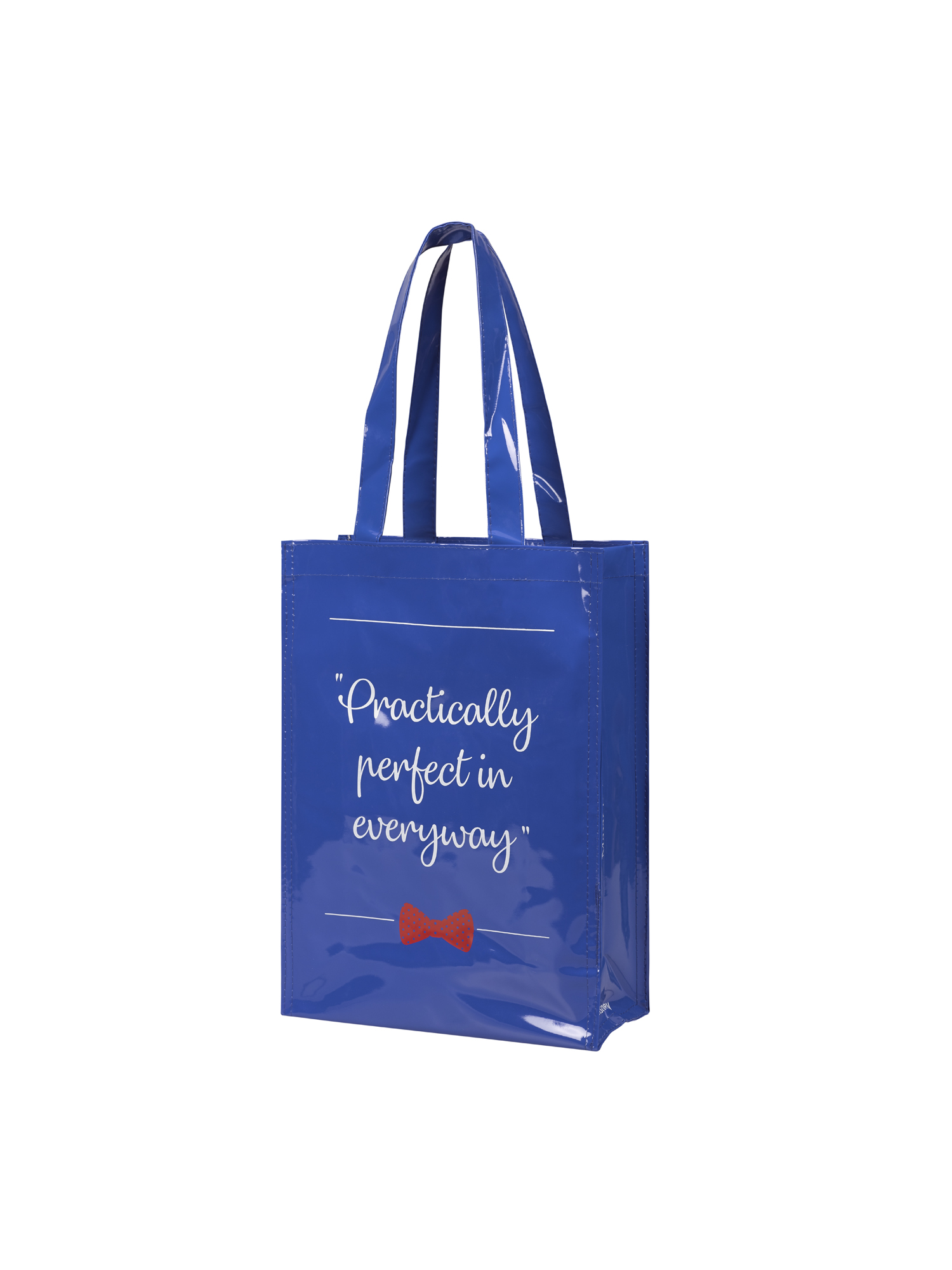 Sac réutilisable en cuir - cuir miroir PVC - dimensions 30x40x15cm - Réf : FRABHVDP_0