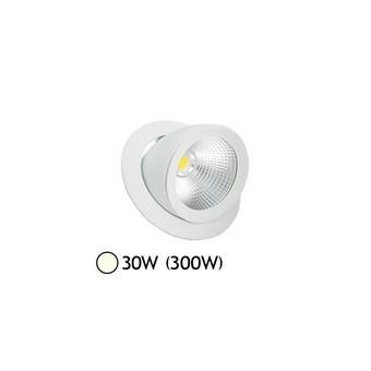 SPOT LED ESCARGOT ORIENTABLE 30W 4000°K VISION-EL 7674