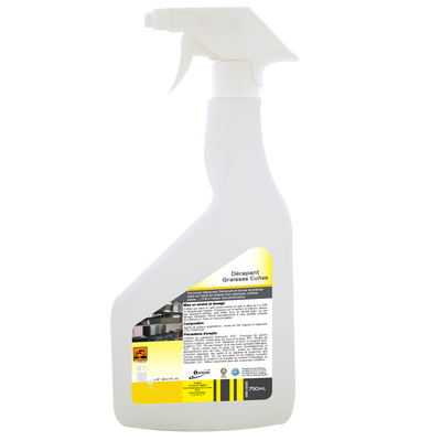 Décapant - Fort pouvoir dégraissant - Prêt à l'emploi pour inox, plastiques et surfaces peintes - Disponible en 750mL et 5L_0