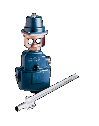Humidificateur à vapeur vive Série 9000 - Armstrong - Fonte - Gamme de 0,6 kg/h à 1843 kg/h_0