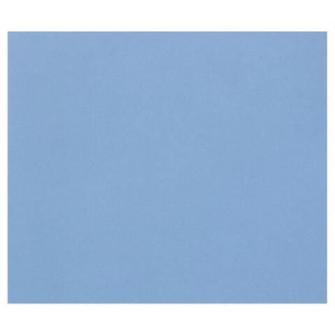 TULIPE RAME 50F A3 160G - BLEU ROI