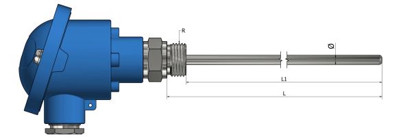 Thermocouple chemisé - Sortie tête de raccordement avec raccord fileté - TM71 - Types K, N, J, T, E, R, S, B_0