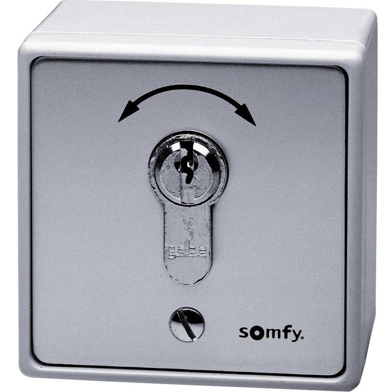 Somfy Clé Palpeur AP//UP 9000021
