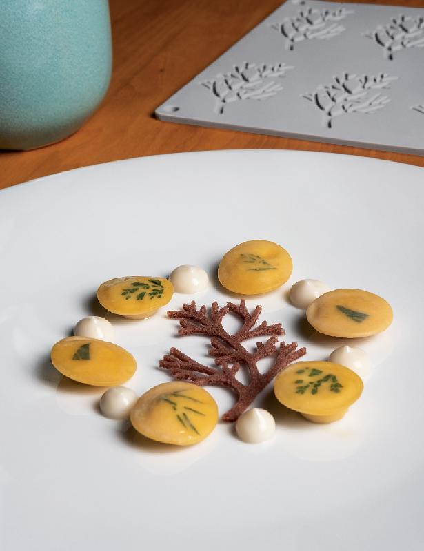 Wood - Moule en silicone Gourmand Horeca Pavoni Italia - 10 empreintes_0