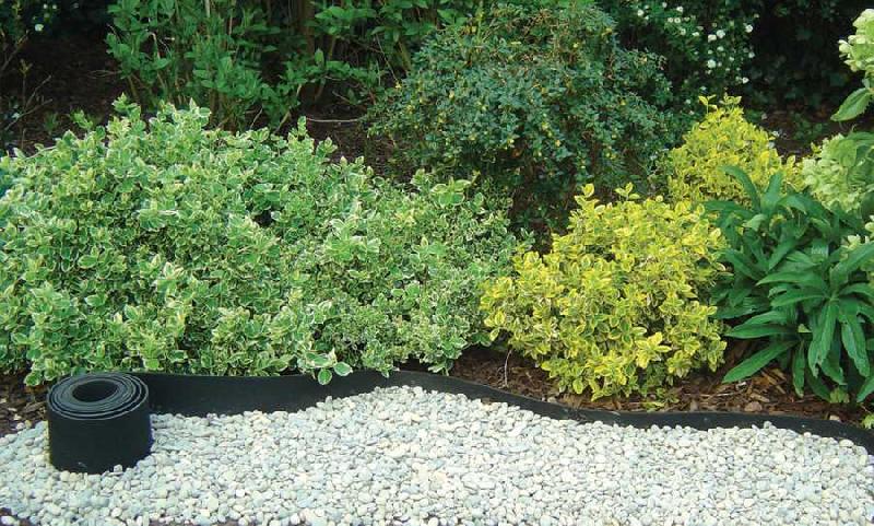 Bordure de jardin en caoutchouc recyclé - Selfix Bordura - 13 cm x 10 m - Noir - Imputrescible et écologique_0
