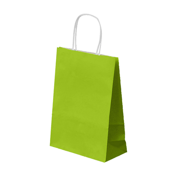 250 sacs kraft couleur à poignées torsadées 200x100x290 mm - SKFTPTAN-GP02_0