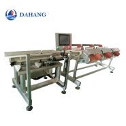 Machine de tri pondéral DHWS400*150-4 - Dahang - matériels de tri alimentaire - capacité 500g - haute précision ±1-3g_0