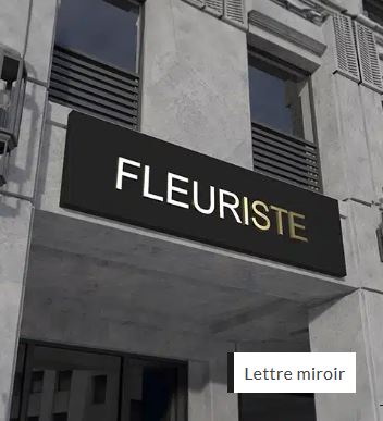 Enseigne lettre miroir moderne et innovante à usage intérieur et extérieur - Lettres miroirs haut de gamme légères et résistantes_0