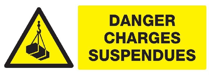 Panneaux rigides 330x200 mm dangers - PNGPSC-TL10/DGCS_0