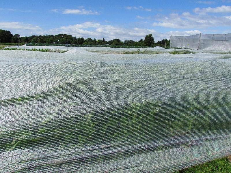 Filet thermique Top Climat* - 200 m, 6m - Protection contre froid, soleil et intempéries_0