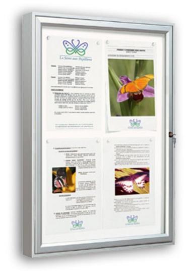 Vitrine extérieure classique simple face - cadre aluminium 58 mm, porte réversible, vitrage plexichocs ou verre sécurisé_0