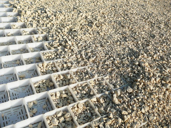 Dalle de parking ritter gravelgrid blanche | joints de dilatation intégrés - résistance de 450 t/m² - solution économique en matériaux de remplissage_0