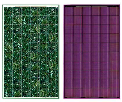 Panneaux solaires photovoltaïques bisol spectrum polycristallins_0