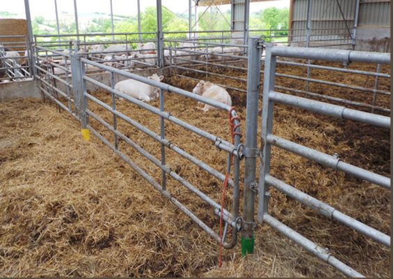 Barrière agricole extensible 5 lisses - réf 62051 - Jourdain_0