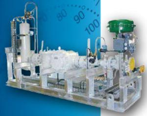 Skid de comptage transactionnel - Mesurage de liquides hydrocarbures, huiles, alcool et diester_0