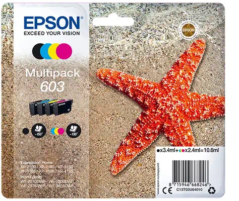 Epson Multipack 4-colours 603 Ink_0