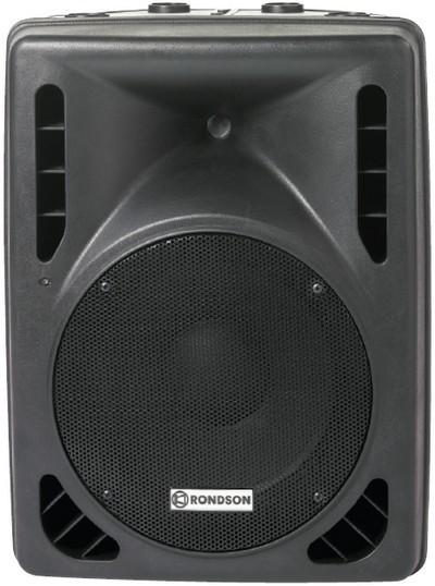 SPC 12 - Enceinte professionnelle 250 W - Hautes performances - Thermomoulée en ABS_0