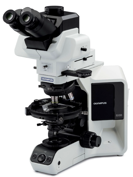 Bx53-p - microscope polariseur_0