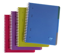 CAHIER SPIRALES LINICOLOR EVOLUTIV'BOOK A5 16 X 21 CM PERFORÉ PETITS CARREAUX 180 PAGES