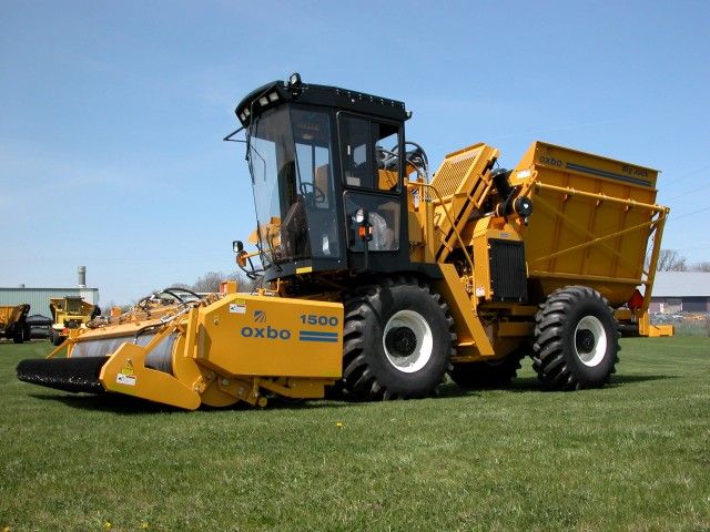 Récolteuse multi-légumes Oxbo 2430 - Sweere Food Processing B.V - moteur John Deere 173 HP - capacité 4545 kg_0