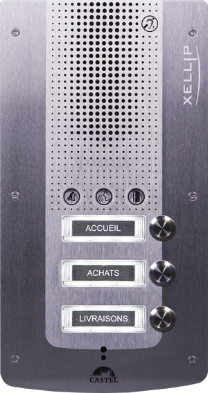 Portier audio Full IP/SIP avec 3 boutons d'appel conforme loi Handicap - XE AUDIO 3B_0