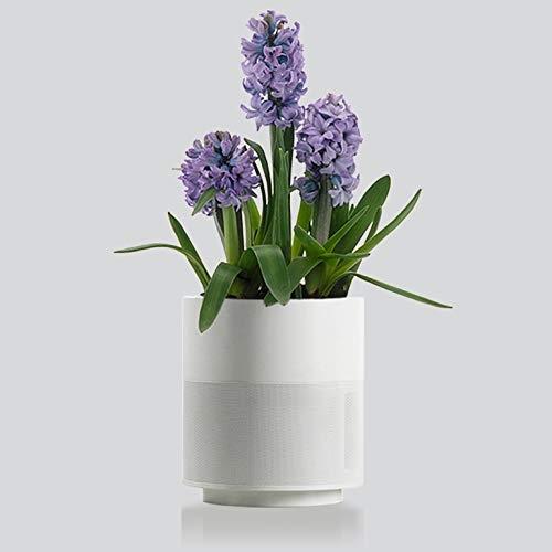 Pots de fleurs intelligents auto-arrosage - intérieur - faible consommation d'énergie et technologie brevetée_0