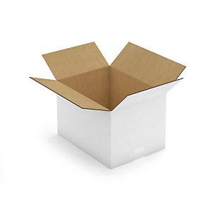 CAISSE CARTON BLANCHE DOUBLE CANNELURE RAJA 38,5X28,5X25 CM