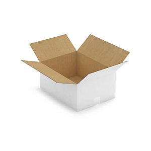 CAISSE CARTON BLANCHE SIMPLE CANNELURE RAJA 40X30X18 CM